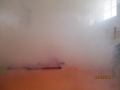 7 (Copy)