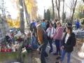 DSC00522-Copy