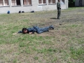 4 (Copy)