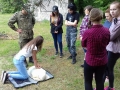 46 (Copy)