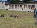 47 (Copy)