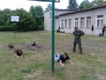 61 (Copy)