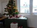 DSC00740-Copy