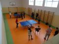 DSC00555-Copy