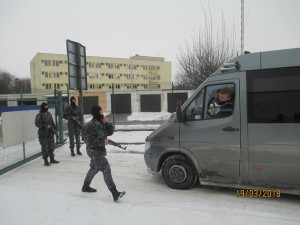 17 (Copy)